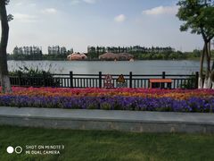 景点-上海长兴岛郊野公园