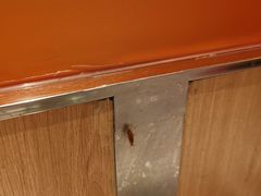 -星伦多自助料理·涮烤一体(奉贤龙湖天街店)