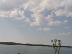 -丁香湖公园