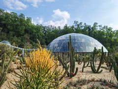 -深圳仙湖植物园