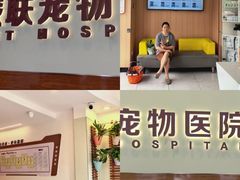 -派联宠物医院·24h·CT·异宠