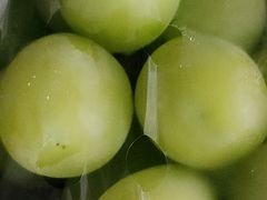 -美家乐农庄·露营·团建(大治路店)