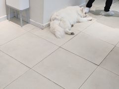 -怪兽屋·羊驼·猫咖·狗咖(俊华广场店)