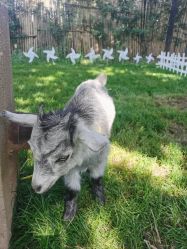 -DORA kids 朵拉儿童摄影花园店