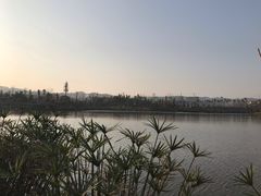 -枫香湖儿童公园