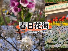 -苏州上方山国家森林公园