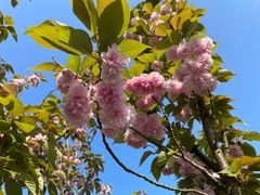 -东钱湖小普陀景区