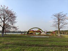 -海珠湖公园