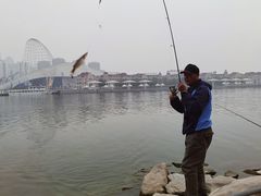 -海河外滩公园