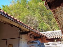 -雁南飞茶田景区