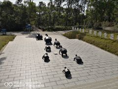 -广东惠东海龟国家级自然保护区