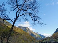 -叠溪松坪沟景区