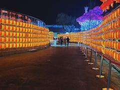 -淄博花灯齐彩城