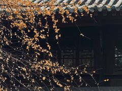 -成都市文化公园