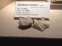 -荔湾博物馆