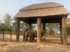 -清迈夜间动物园