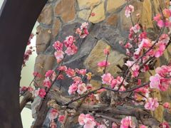 -上地宴·中关村的会客厅(清河高铁站店)