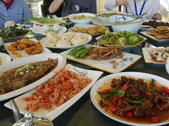 -巩本明鱼屋子