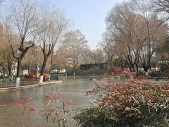-西安市长乐公园