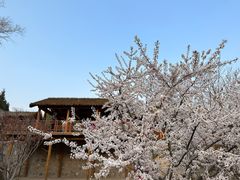 -北宫国家森林公园