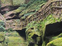 -碧峰峡风景区