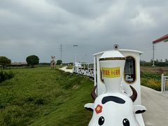 -杭州湾海上花田景区