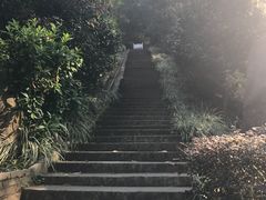 -白云山风景名胜区