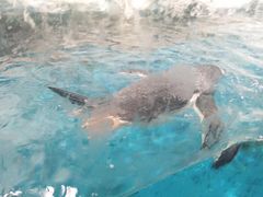 -南昌海洋公园