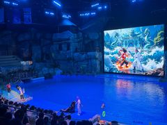 -芜湖新华联大白鲸海洋公园