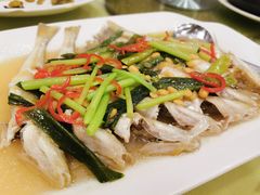 沙尖鱼-新群海鲜酒楼