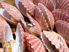 -山海菜馆·海肠捞饭·青岛菜(栈桥店)