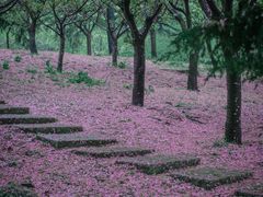 -大连植物园