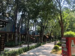 -南宫五洲植物乐园