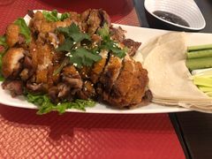-熊猫川菜馆 panda chine