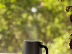 -不起眼麻辣烫凉皮店