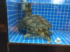 水产区-徽三说·土徽菜·中国徽菜连锁品牌(一中店)