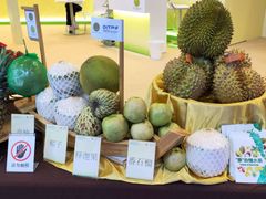 -南宁国际会展中心