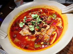 招牌毛血旺-映水芙蓉(上海万象城店)