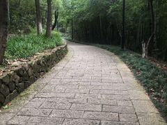 -杭州半山国家森林公园