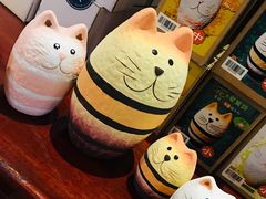 -猫咪博物馆(顶澳仔猫街店)