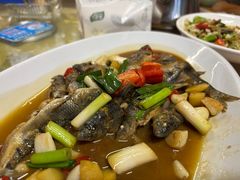 石斑鱼-芦茨金富饭庄·25年老字号·专做稻草鸡