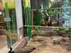 -顺德南宏海立方海洋公园