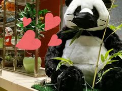 -火舞泰·泰式海鲜火锅餐厅(世纪城店)