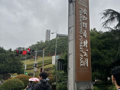 -铁山坪森林公园