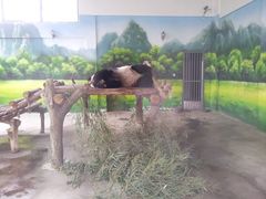 -苏州太湖国家湿地公园