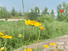 -洨河生态公园