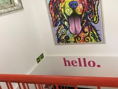 -宠物家(双井店)