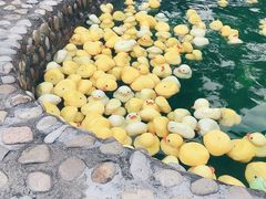 -余姚阳明温泉山庄