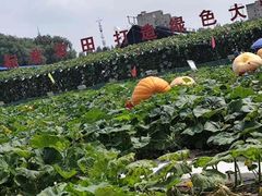 -长春农业博览园