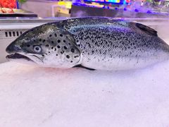 -海韵之星邮轮水会(明发商业广场店)